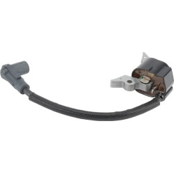 Uždegimo ritė, Kawasaki 211210712