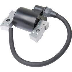 Uždegimo ritė, Kawasaki 211212086