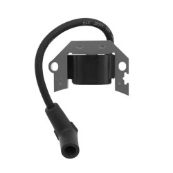 Uždegimo ritė, Kawasaki 211712267