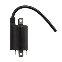 Uždegimo ritė, Kawasaki 211212083