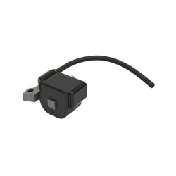 Uždegimo ritė, Kawasaki 211712250