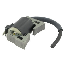 Uždegimo ritė, Kawasaki 211712174