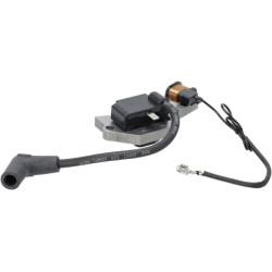 Uždegimo ritės mazgas 211712268