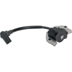 Uždegimo ritė, Kawasaki 211710745