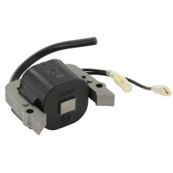 Uždegimo ritė, Kawasaki 211712205