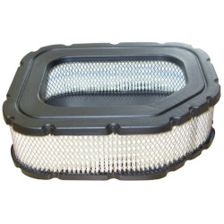 Ovalus oro filtras FGP456817