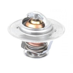 Case - IH JX80 Maxxima 98463638 Termostatas