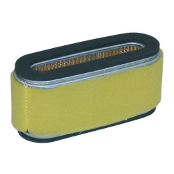 Ovalus oro filtras FGP012680