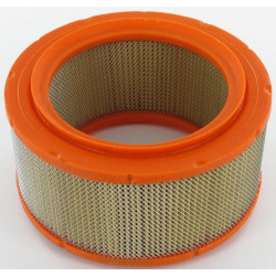 Oro filtras Lombardini 2175050