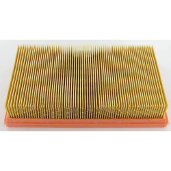 Oro filtras Lombardini 2175164