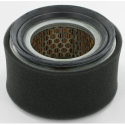 Oro filtras Lombardini 2175240