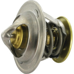 Termostatas 9195124