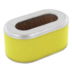 Oro filtras Robin FGP430065