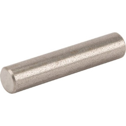 Riešo segtukas 12653