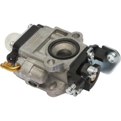 Karbiuratorius 1188020710