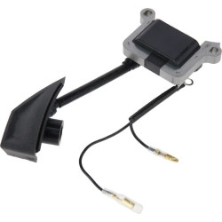 Uždegimo ritė 1188036901