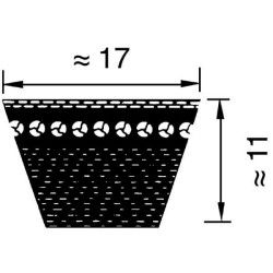 V formos diržas BX61 17x1590 BX171590