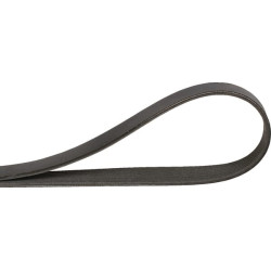 Briaunotas diržas AP1003139