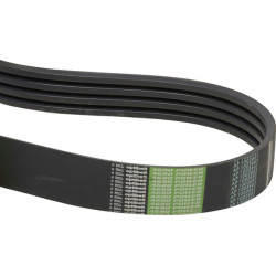 Jėgos diržas AP1003661