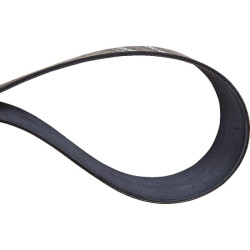 Riebalinis diržas 24 PJx1105 Amazone EG055