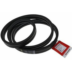 Pavaros diržas V9L0019