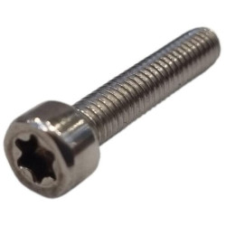 Screw C02394
