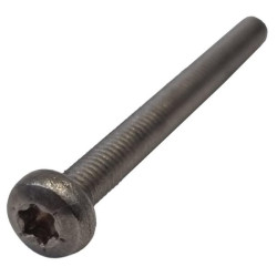 Screw C02269