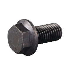 Varžtas M12x25 E05855ASM