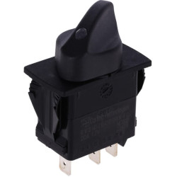 Sukamasis jungiklis 106882