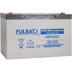 GEL akumuliatorius 12V 100Ah FPG12100