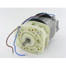 Elektrinis variklis su aušinimo įrenginiu ALP8251900