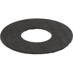 Frikcinis diskas 5029