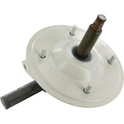 Ašies galas (kairė pusė) ET27664