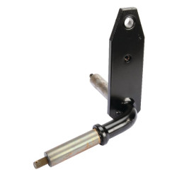 Ašies galas LH 99 ET29809