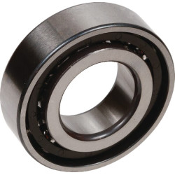 Kampinis kontaktinis rutulinis guolis AGW23173