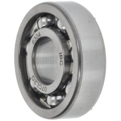 Rutulinis guolis 02580