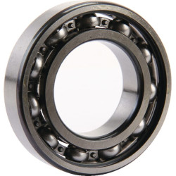 Ritininis guolis AGW02555