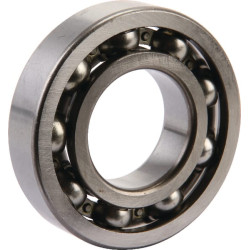 Ritininis guolis AK455276