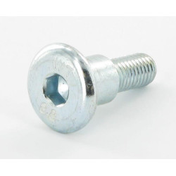 Peties varžtas 1134627901