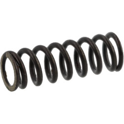 Perjungimo šakės suspaudimo spyruoklė AGW04407