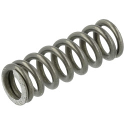 Suspaudimo spyruoklė AGW455004