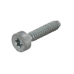 Cilindro galvutės varžtas IS-D 5x24 90754784159