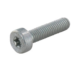 Cilindro galvutės varžtas ISm 5x25 42377160400