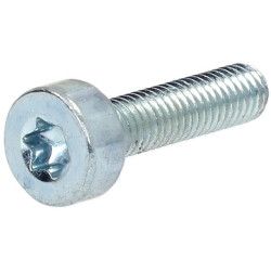 Cilindro galvutės varžtas M5x20 90223711020KR