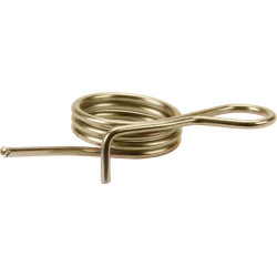 Formos spyruoklė AGW49770