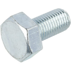 Varžtas kairysis M10 x 1,25 FGP002008