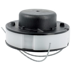 Ritė ir valas SVC SAA12597