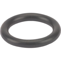 O formos žiedas 14109