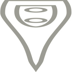 Rheinische kirvis Auksinis 1,6 kg FW201608