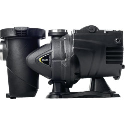 E.SWIM pompa 150 DAB60172658